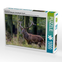 CALVENDO Puzzle CALVENDO Puzzle Emotionale Momente: Hirschbrunft. Part III. Пазл CALVENDO Пазл Эмоциональные моменты: Оленья гонка. Часть 3